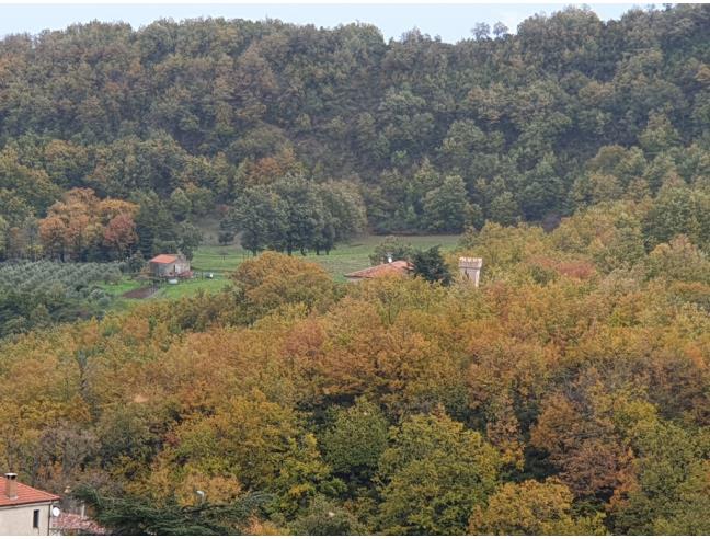 Anteprima foto 7 - Rustico/Casale in Vendita a Francavilla in Sinni (Potenza)