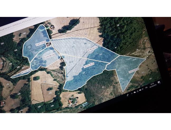 Anteprima foto 8 - Rustico/Casale in Vendita a Francavilla in Sinni (Potenza)