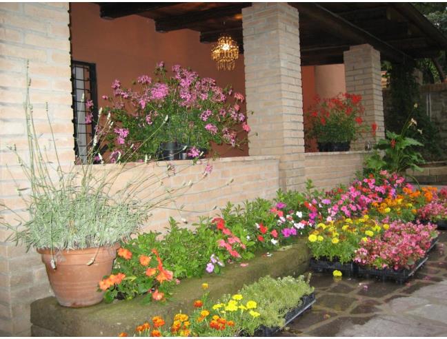 Anteprima foto 4 - Rustico/Casale in Vendita a Gabicce Mare - Gabicce Monte