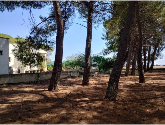 Anteprima foto 4 - Rustico/Casale in Vendita a Galatina (Lecce)