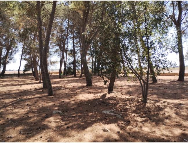 Anteprima foto 5 - Rustico/Casale in Vendita a Galatina (Lecce)