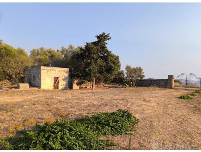 Anteprima foto 3 - Rustico/Casale in Vendita a Galatone - Galatone Campagne