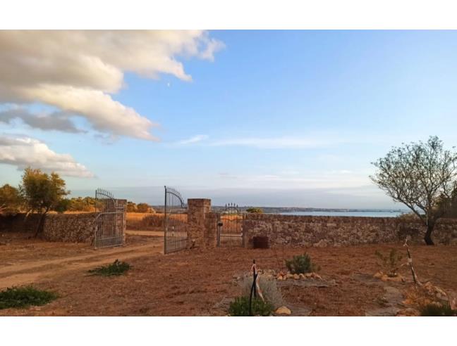 Anteprima foto 6 - Rustico/Casale in Vendita a Galatone - Galatone Campagne