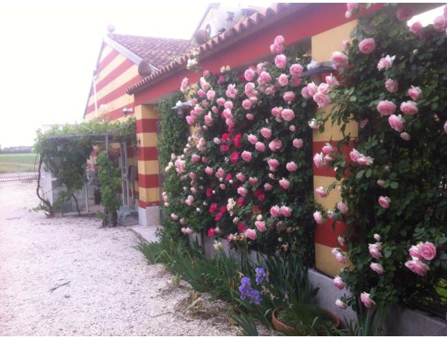 Anteprima foto 2 - Rustico/Casale in Vendita a Gazzo Veronese - Albarelle