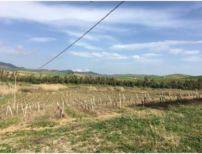 Anteprima foto 2 - Rustico/Casale in Vendita a Gibellina - Gibellina Nuova