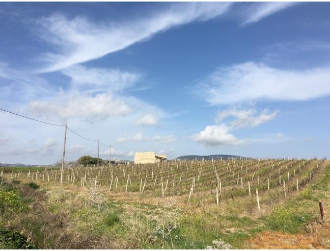 Anteprima foto 3 - Rustico/Casale in Vendita a Gibellina - Gibellina Nuova