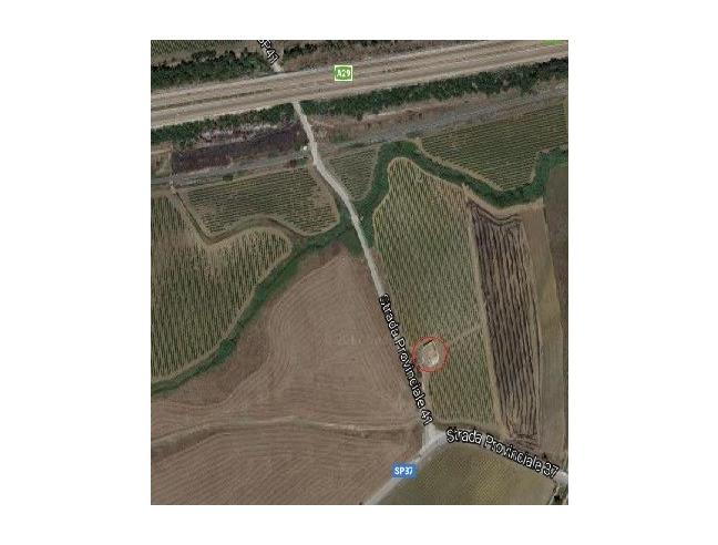 Anteprima foto 4 - Rustico/Casale in Vendita a Gibellina - Gibellina Nuova