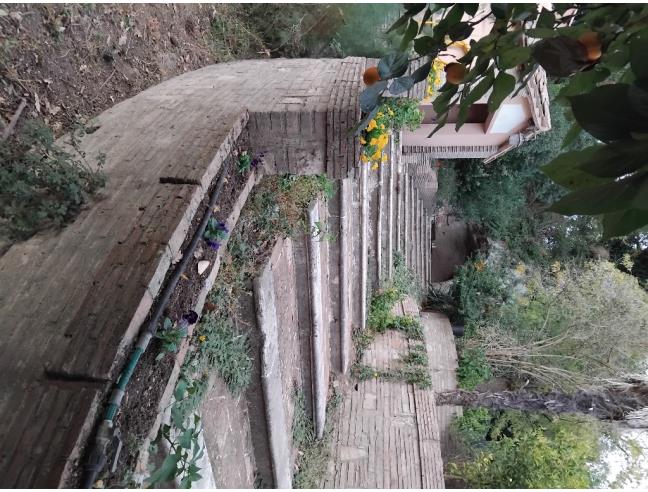 Anteprima foto 2 - Rustico/Casale in Vendita a Giove (Terni)