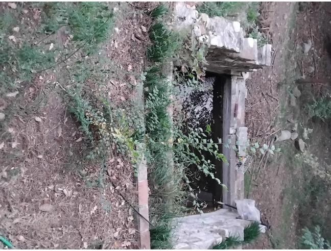 Anteprima foto 8 - Rustico/Casale in Vendita a Giove (Terni)