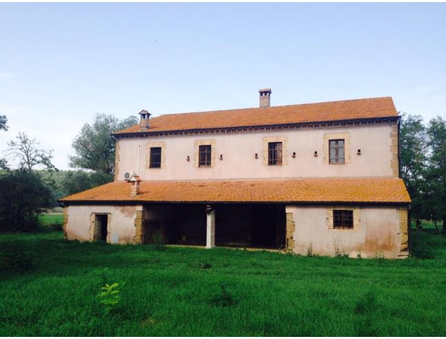 Anteprima foto 3 - Rustico/Casale in Vendita a Graffignano - Sipicciano