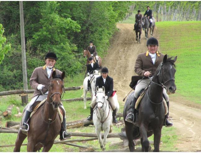 Anteprima foto 3 - Rustico/Casale in Vendita a Gropparello - Sariano