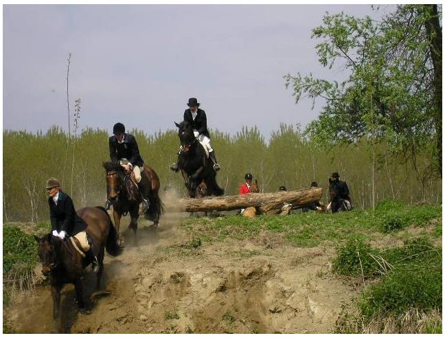 Anteprima foto 7 - Rustico/Casale in Vendita a Gropparello - Sariano