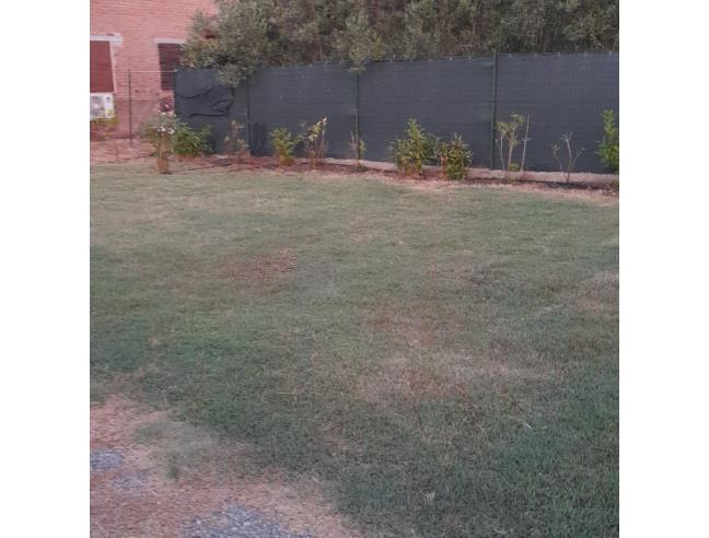 Anteprima foto 4 - Rustico/Casale in Vendita a Grosseto (Grosseto)