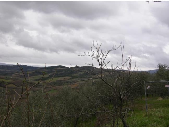 Anteprima foto 5 - Rustico/Casale in Vendita a Gualdo Cattaneo - San Terenziano