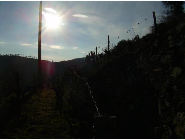Anteprima foto 3 - Rustico/Casale in Vendita a Isolabona (Imperia)