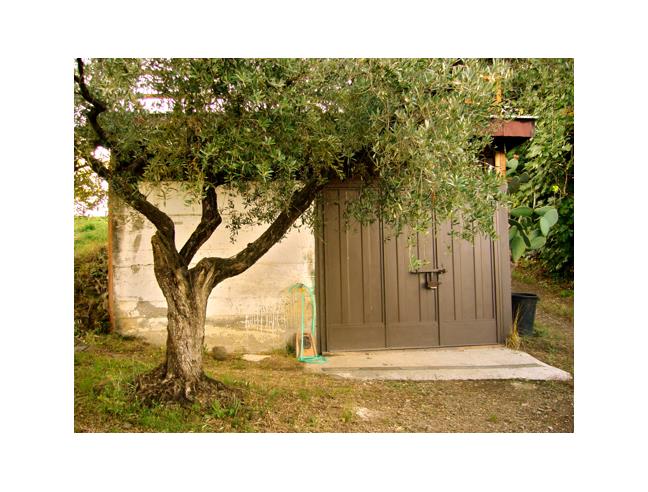 Anteprima foto 4 - Rustico/Casale in Vendita a Lanuvio (Roma)