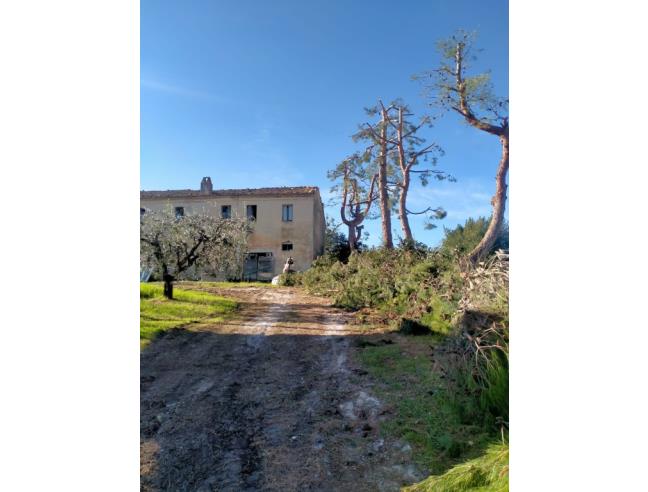 Anteprima foto 7 - Rustico/Casale in Vendita a Lapedona (Fermo)
