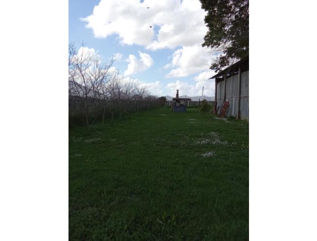 Anteprima foto 4 - Rustico/Casale in Vendita a Latina - Tor Tre Ponti