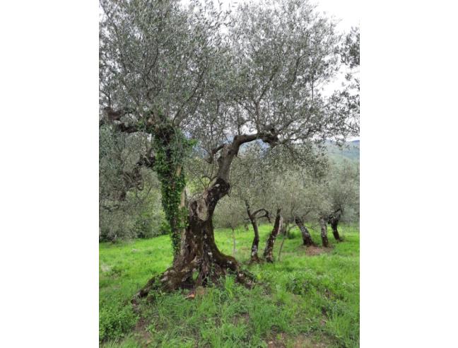 Anteprima foto 6 - Rustico/Casale in Vendita a Laurino - Sant Antonio