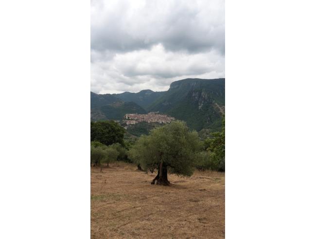 Anteprima foto 7 - Rustico/Casale in Vendita a Laurino - Sant Antonio