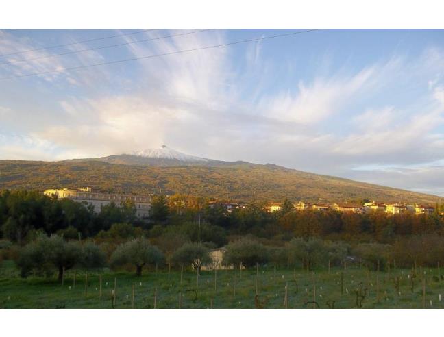 Anteprima foto 3 - Rustico/Casale in Vendita a Linguaglossa (Catania)