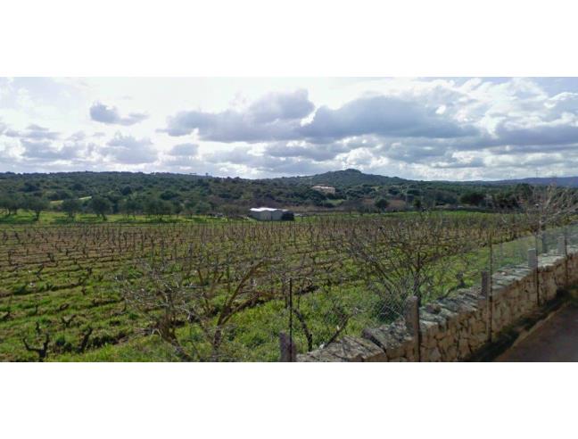 Anteprima foto 1 - Rustico/Casale in Vendita a Luogosanto (Sassari)