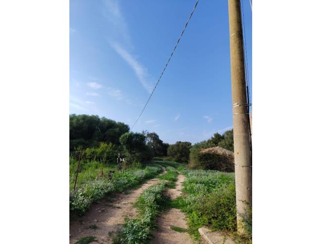 Anteprima foto 2 - Rustico/Casale in Vendita a Luogosanto (Sassari)