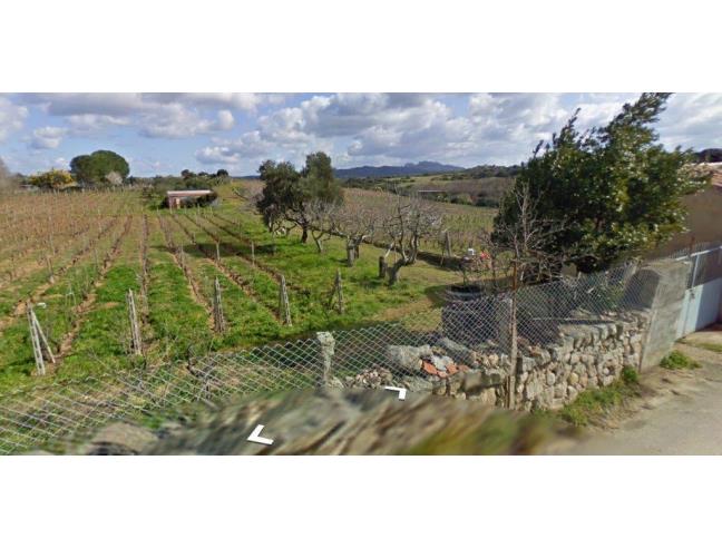 Anteprima foto 2 - Rustico/Casale in Vendita a Luogosanto (Sassari)