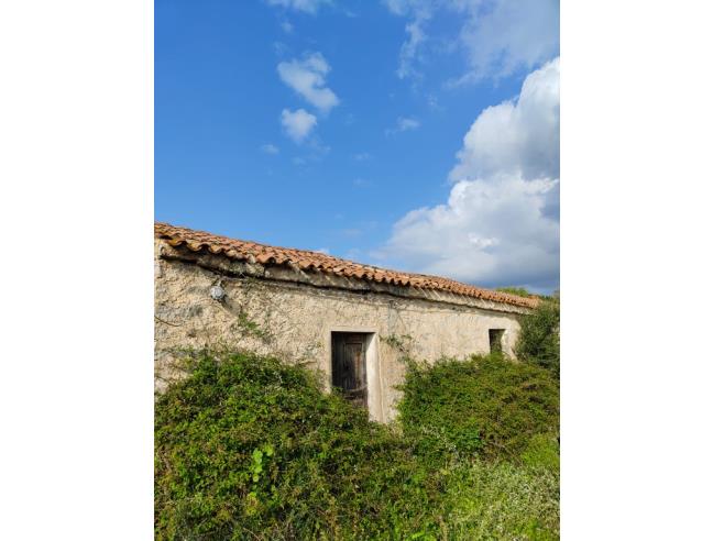 Anteprima foto 5 - Rustico/Casale in Vendita a Luogosanto (Sassari)