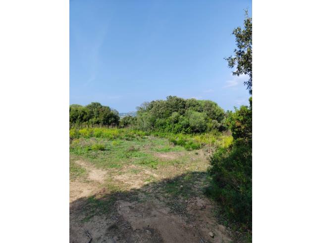 Anteprima foto 7 - Rustico/Casale in Vendita a Luogosanto (Sassari)