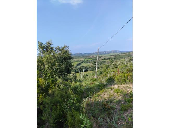 Anteprima foto 8 - Rustico/Casale in Vendita a Luogosanto (Sassari)