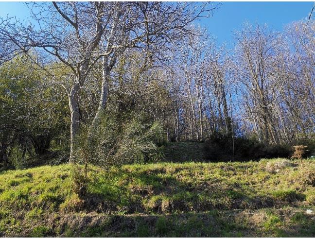 Anteprima foto 8 - Rustico/Casale in Vendita a Maccagno con Pino e Veddasca - Cadero