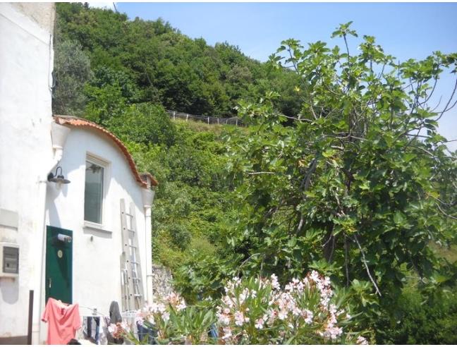 Anteprima foto 8 - Rustico/Casale in Vendita a Maiori - Vecite