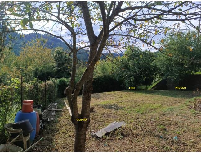 Anteprima foto 6 - Rustico/Casale in Vendita a Mallare - Olano