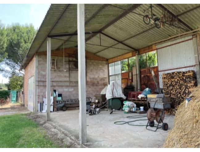 Anteprima foto 2 - Rustico/Casale in Vendita a Marciano della Chiana (Arezzo)