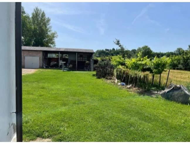 Anteprima foto 6 - Rustico/Casale in Vendita a Marciano della Chiana (Arezzo)