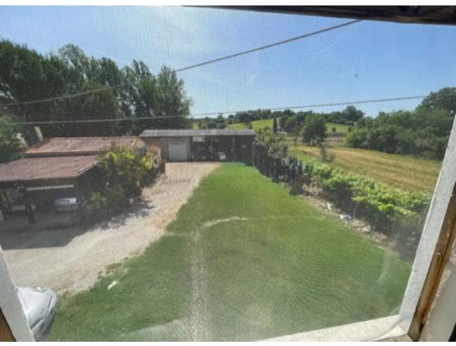 Anteprima foto 7 - Rustico/Casale in Vendita a Marciano della Chiana (Arezzo)
