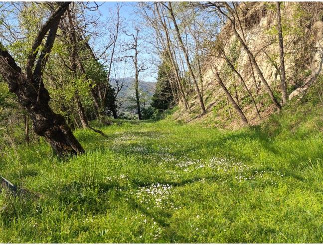 Anteprima foto 6 - Rustico/Casale in Vendita a Marzabotto - Sibano