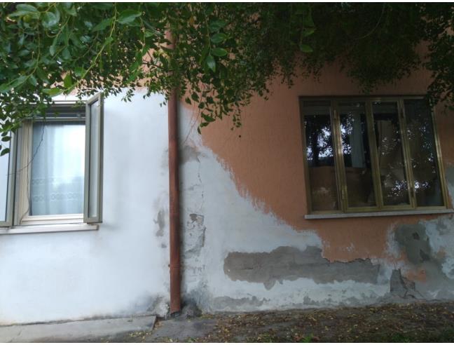 Anteprima foto 5 - Rustico/Casale in Vendita a Masi - Colombare