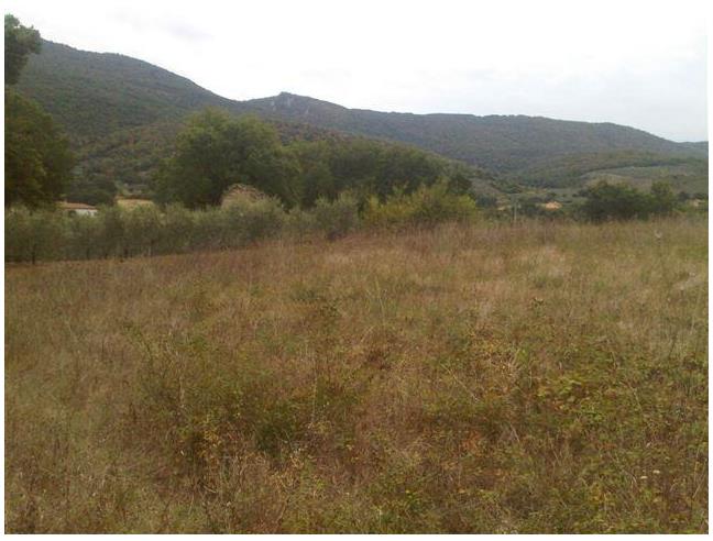 Anteprima foto 3 - Rustico/Casale in Vendita a Massa Martana (Perugia)