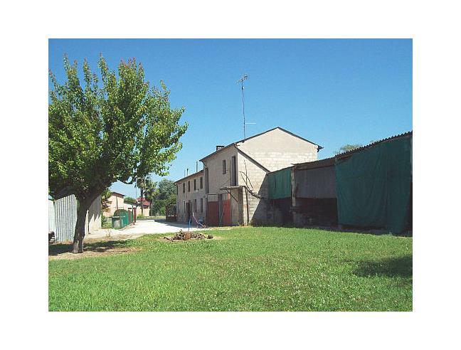 Anteprima foto 8 - Rustico/Casale in Vendita a Merlara (Padova)