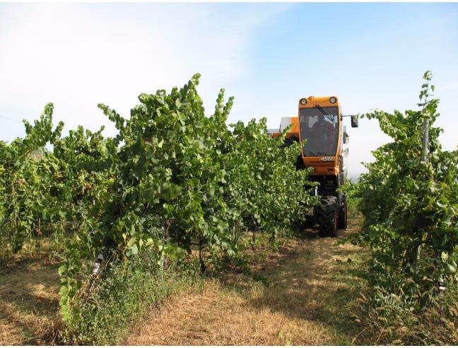 Anteprima foto 2 - Rustico/Casale in Vendita a Milano - Stazione Centrale