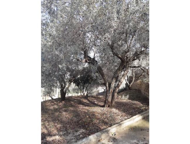 Anteprima foto 8 - Rustico/Casale in Vendita a Mineo (Catania)