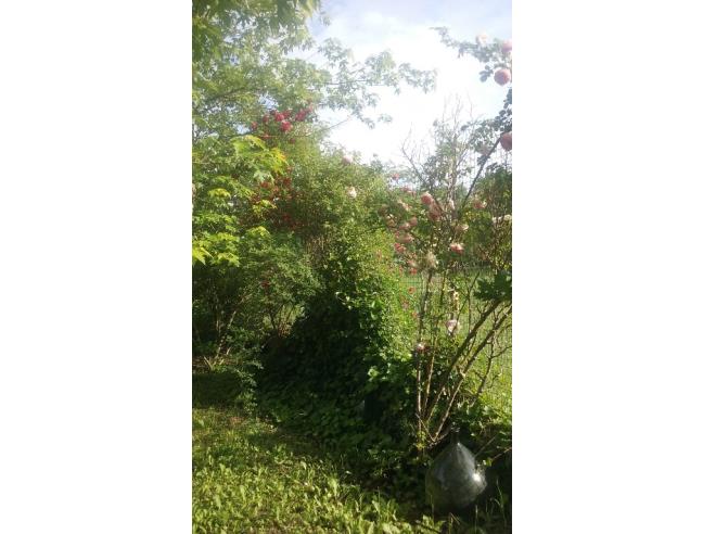 Anteprima foto 5 - Rustico/Casale in Vendita a Molinella - San Pietro Capofiume