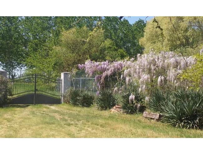 Anteprima foto 7 - Rustico/Casale in Vendita a Molinella - San Pietro Capofiume