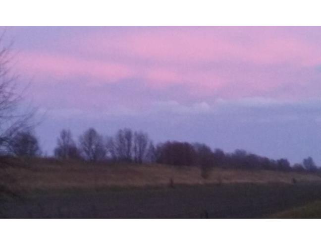 Anteprima foto 8 - Rustico/Casale in Vendita a Molinella - San Pietro Capofiume