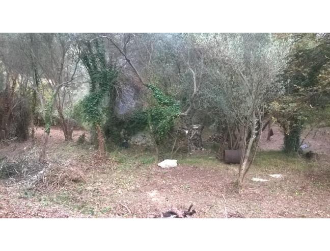 Anteprima foto 1 - Rustico/Casale in Vendita a Moneglia - Tessi