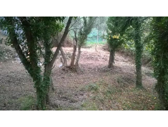 Anteprima foto 2 - Rustico/Casale in Vendita a Moneglia - Tessi