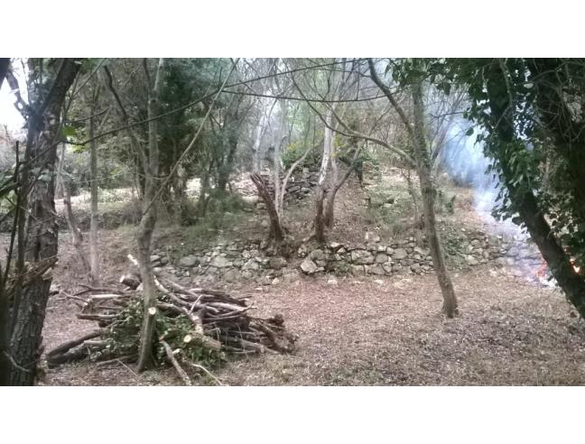 Anteprima foto 3 - Rustico/Casale in Vendita a Moneglia - Tessi