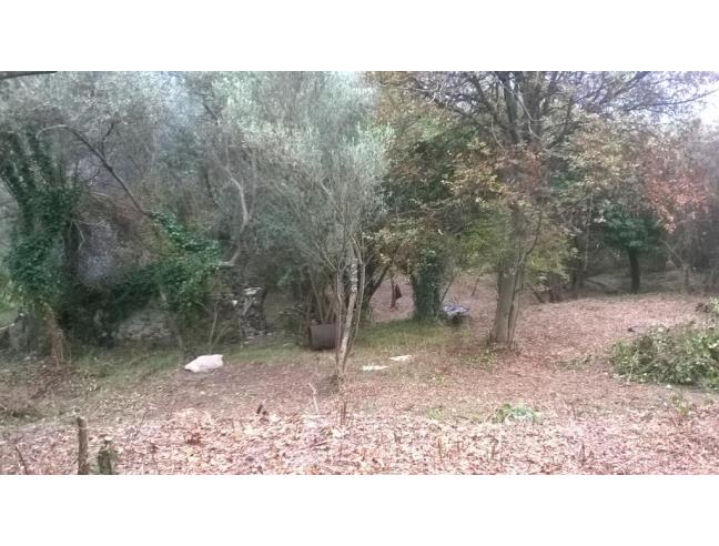 Anteprima foto 5 - Rustico/Casale in Vendita a Moneglia - Tessi